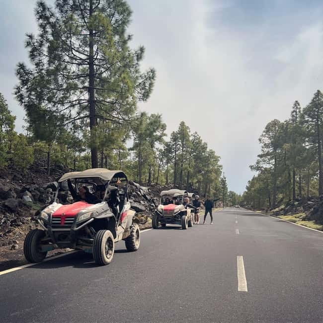 Tenerife: Teide National Park and Volcano Buggy Tour - Pickup and meeting points near Los Cristianos and Costa Adeje
