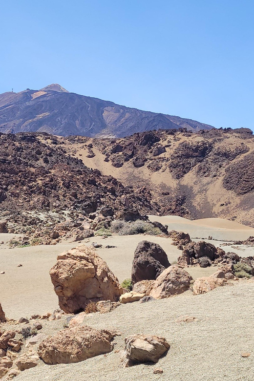Tenerife: Teide National Park Buggy Tour with Hotel Transfer - Price and value: what $211 covers (and why it can be worth it)