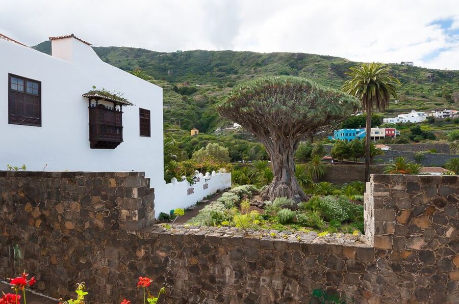 Tenerife: Teide National Park Full-Day Tour with Pickup - El Teide photo stops: movie scenery and real viewpoint time