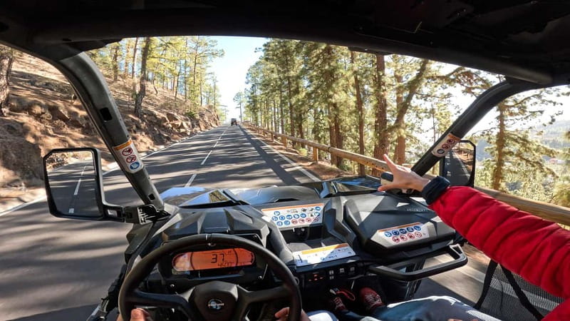 Tenerife: Teide National Park Guided Buggy Tour - The stops that matter: villages, viewpoints, and Las Cañadas del Teide