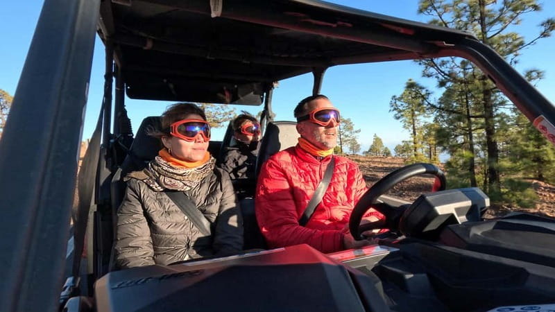 Tenerife: Teide National Park Guided Buggy Tour - Should you book this Teide buggy tour?