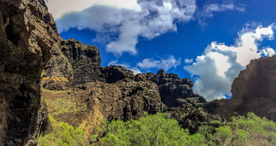 Tenerife: Teide National Park & Teno Rural Park Private Tour - Entering Teide National Park at altitude