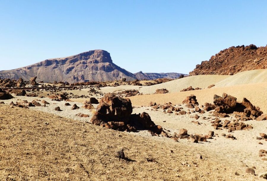 Tenerife: Teide National Park & Teno Rural Park Private Tour - The private guide difference (and why Jaime stands out)