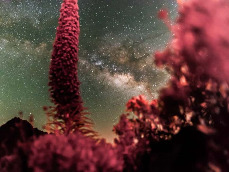 Tenerife: Teide Stargazing with an Astrophysicist - Price and value: what $47 buys you at Teide