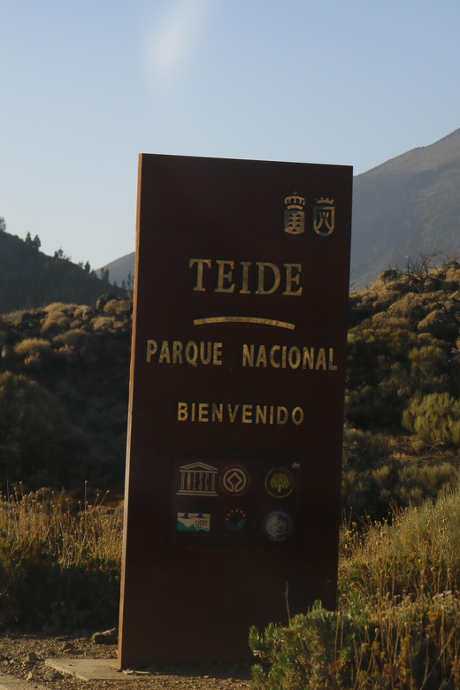Tenerife: Teide Volcano Sunset Quad Bike Tour with Drinks - The ride itself: volcanic terrain plus pine forest contrasts