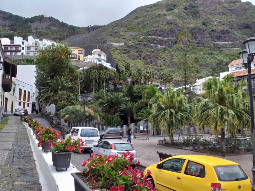 Tenerife: Tenerife Highlights beyond the Teide - A North-Coast Day Without Stress