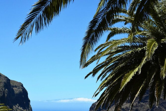 Tenerife Tour Mt. Teide and the Towns of Icod, Garachico, Masca - The guide and languages: how the commentary can help or slow you down