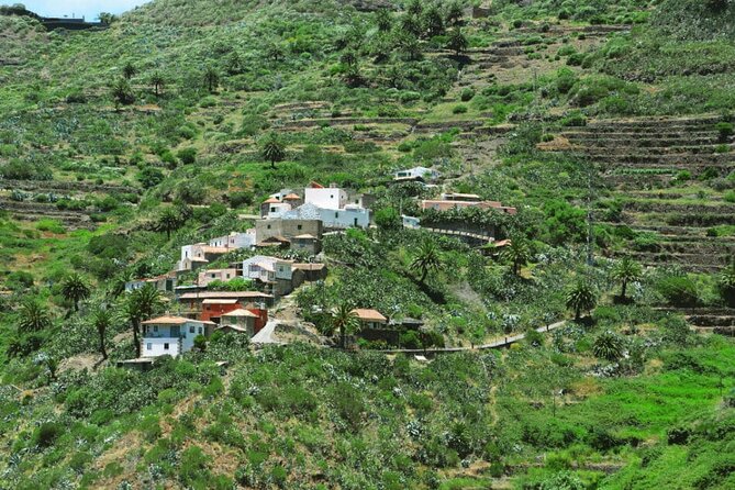 Tenerife Tour Mt. Teide and the Towns of Icod, Garachico, Masca - Icod de los Vinos and the Drago Milenario: the dragon tree experience