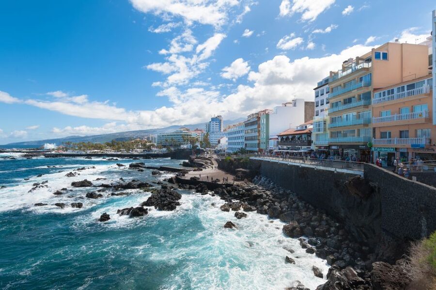 Tenerife: Trip to Puerto de la Cruz - Sitio Litre: orchids, dragon trees, and a house with famous visitors