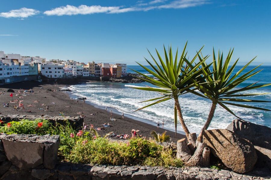 Tenerife: Trip to Puerto de la Cruz - Price and value: what $28 buys you (and what it doesn’t)