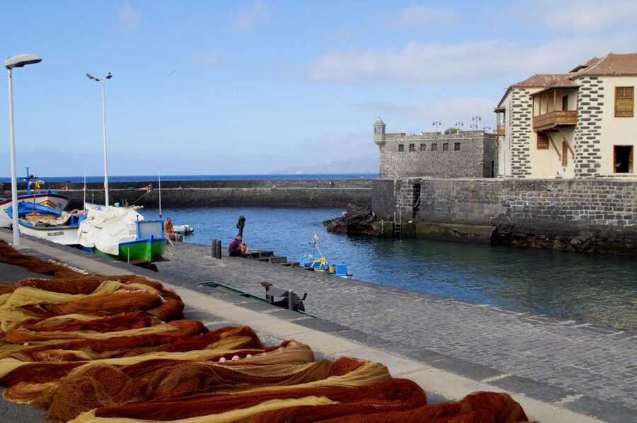 Tenerife: Trip to Puerto de la Cruz - Who this trip fits best