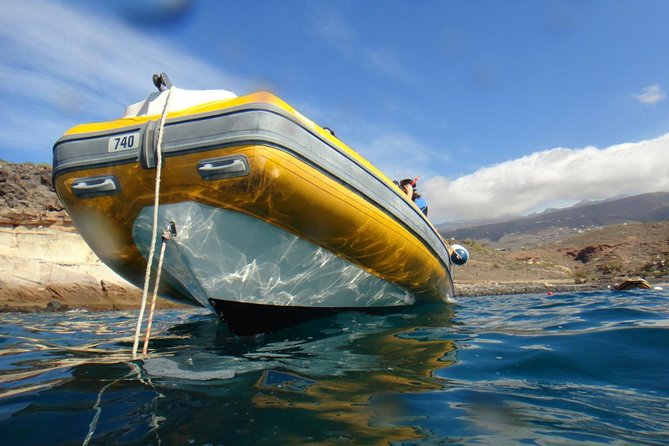 Tenerife Turtle and Snorkel Tour from Costa Adeje - Safety reality check: who this tour is for, and who should skip it