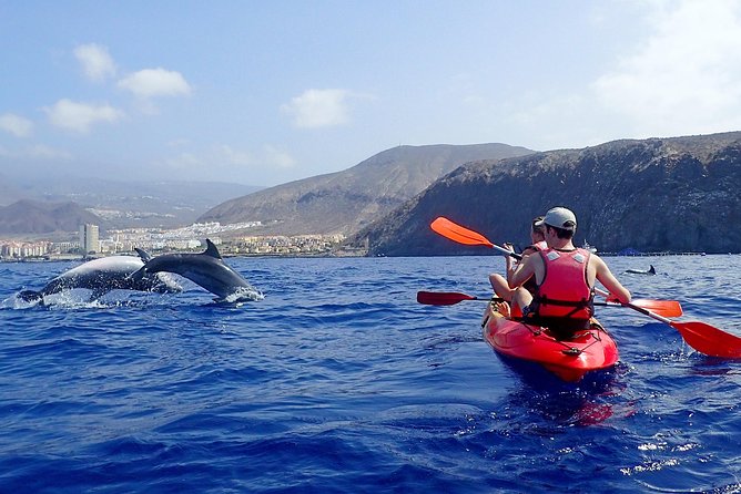 Tenerife: Turtle & Dolphin Kayak Tour with Snorkel & Wetsuit - Kayak Time Along Tenerife’s West Coast (With Guaza Mountains Overhead)