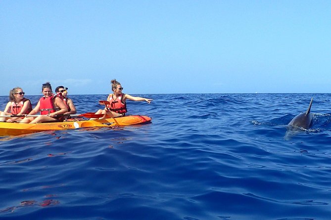 Tenerife: Turtle & Dolphin Kayak Tour with Snorkel & Wetsuit - How Hard Is It, Really? Fitness, Swimming, and Choppy-Water Reality