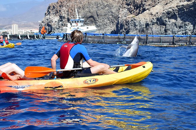 Tenerife: Turtle & Dolphin Kayak Tour with Snorkel & Wetsuit - The Meeting Point Experience: Start Smooth, Stay Together