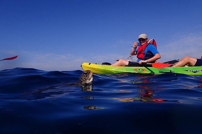 Tenerife: Turtle & Dolphin Kayak Tour with Snorkel & Wetsuit - Price and Value: Why $42.33 Can Make Sense