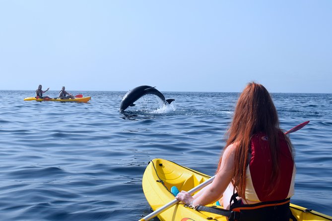 Tenerife: Turtle & Dolphin Kayak Tour with Snorkel & Wetsuit - Best Ways to Pick Your Timing (And Pack Like a Pro)
