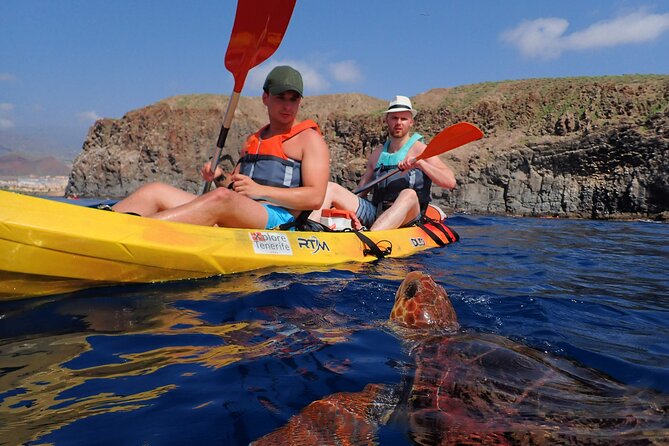 Tenerife: Turtle & Dolphin Kayak Tour with Snorkel & Wetsuit - Snorkeling Mid-Tour: Short, Fun, and Weather-Dependent
