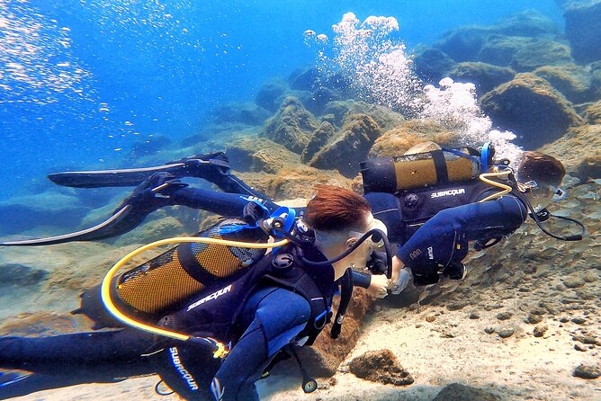 Tenerife Under The Sea - dive into 1-1 personalised experience - How the timing and logistics feel on the day