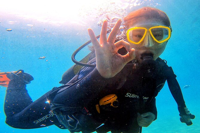 Tenerife Under The Sea - dive into 1-1 personalised experience - Should you book Tenerife Under The Sea 1-1?