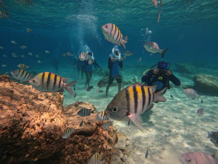 Tenerife: Underwater Walk - Sea Trek Experience - The Sea Trek helmet walk: breathe naturally, feel the weightlessness