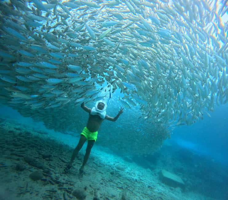 Tenerife: Underwater Walk - Sea Trek Experience - Instructors and small groups: what the personal attention looks like