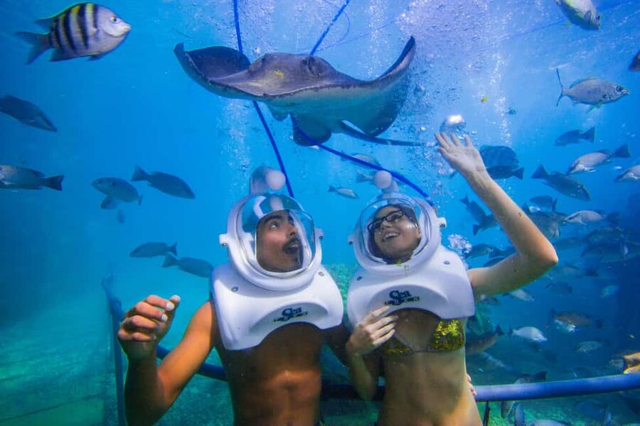 Tenerife: Underwater Walk - Sea Trek Experience - What happens during the on-foot ocean floor time