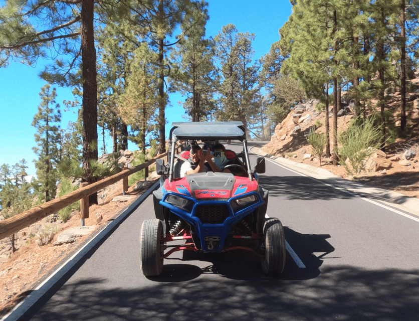 Tenerife: Volcano Teide Buggy Tour with Wine Tasting & Tapas - Price, group size, and what you really get for $247