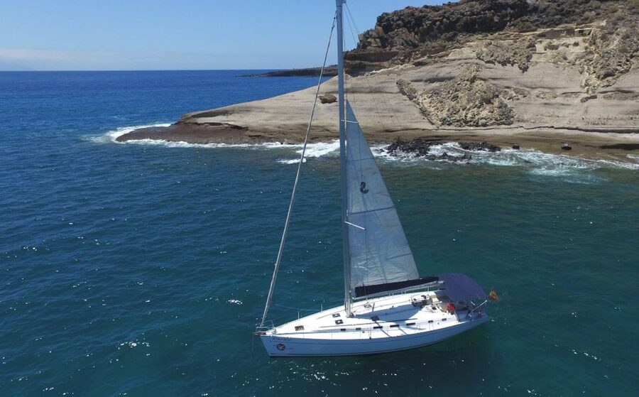 Tenerife: Whale and Dolphin Watching Tour by Sailboat - Key Points at a Glance
