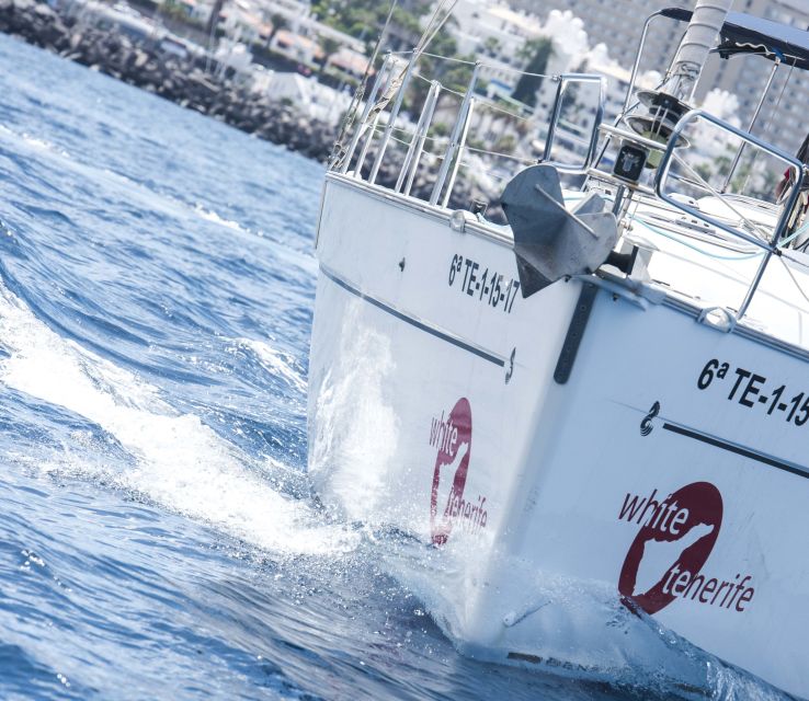 Tenerife: Whale and Dolphin Watching Tour by Sailboat - Should You Book This Tenerife Whale and Dolphin Sail Trip?