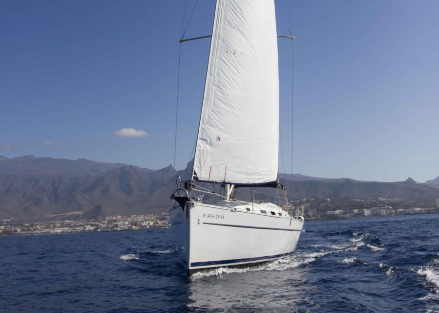 Tenerife: Whale and Dolphin Watching Tour by Sailboat - Whale and Dolphin Watching Off Tenerife: Why This Route Works