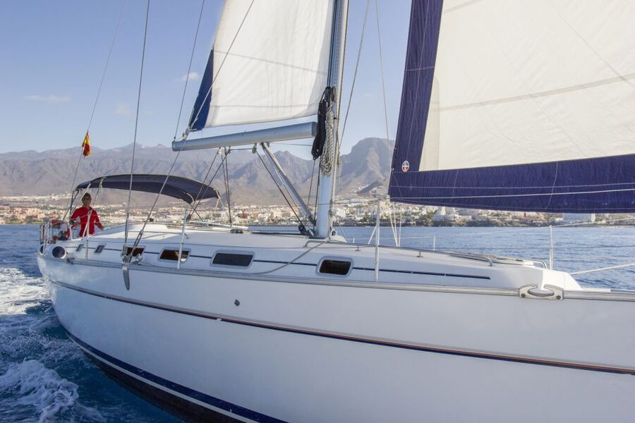 Tenerife: Whale and Dolphin Watching Tour by Sailboat - Onboard Comfort: Food, Drinks, Showers, and Seasickness Help