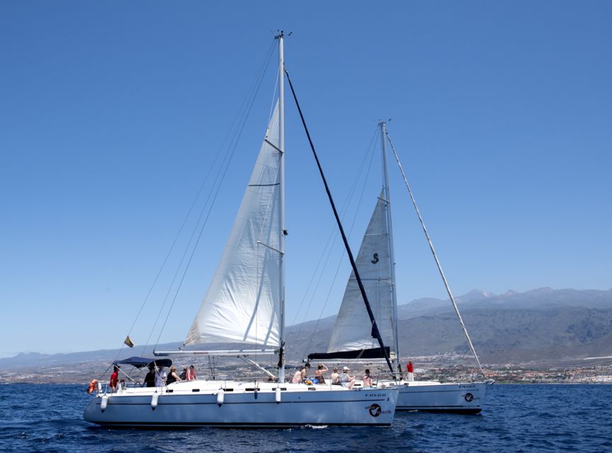 Tenerife: Whale and Dolphin Watching Tour by Sailboat - Who Should Book This Tenerife Whale Watch