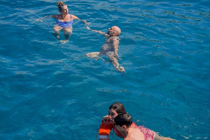 Tenerife: Whale and Dolphin Watching with a Plunge - From Los Cristianos out to the whale zone