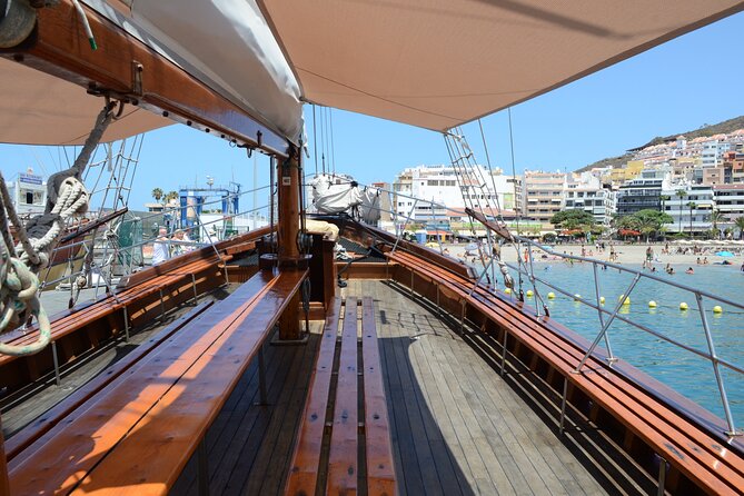 Tenerife: Whale and Dolphin Watching with a Plunge - Stop 3: Bahía and the swim stop with a real jump option (about 20 minutes)