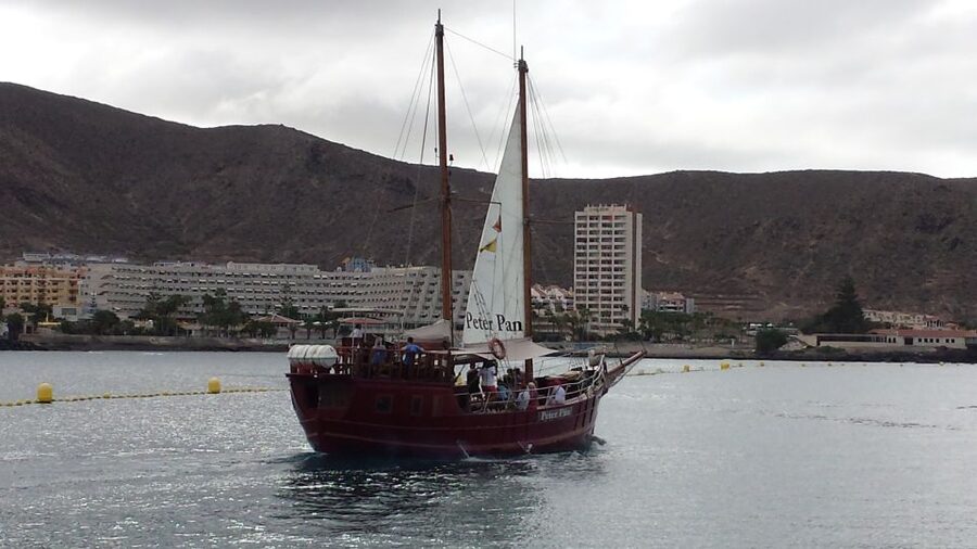 Tenerife: Whale & Dolphin Watching Cruise with Swim Stop - Finding Peter Pan in Los Cristianos