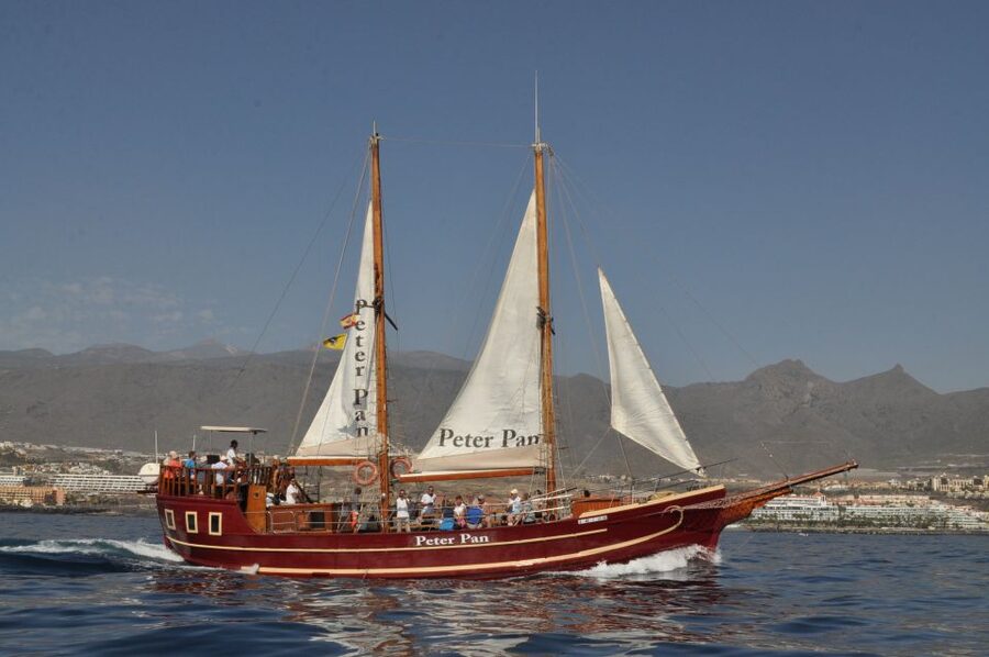 Tenerife: Whale & Dolphin Watching Cruise with Swim Stop - What to bring (and what to skip)