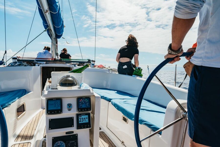 Tenerife: Whale & Dolphin Watching with Drinks and Snacks - Drinks, snacks, and food on board: real comfort for a 3-hour outing