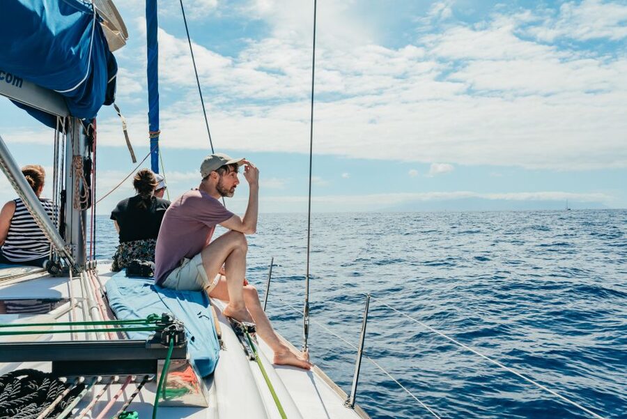 Tenerife: Whale & Dolphin Watching with Drinks and Snacks - Who this small yacht cruise fits best (and who should skip it)