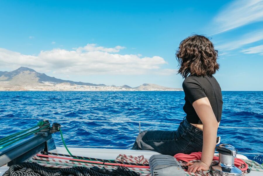 Tenerife: Whale & Dolphin Watching with Drinks and Snacks - Price and value: is $77 a good deal for this Tenerife experience?