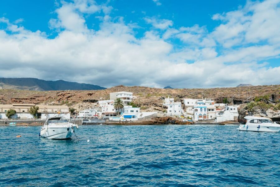 Tenerife: Whale & Dolphin Watching with Drinks and Snacks - Booking your best time: when to go and what to pack
