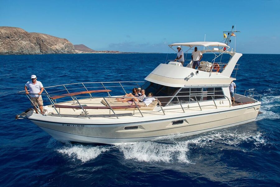 Tenerife: Whale tour and sea swim on a yacht for 22 people - Key things I’d book for