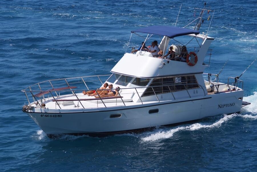 Tenerife: Whale tour and sea swim on a yacht for 22 people - The Los Cristianos Cliffs Swim Stop and the Cueva del Amor View