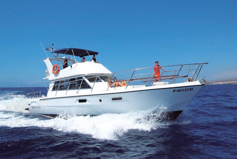 Tenerife: Whale tour and sea swim on a yacht for 22 people - Price and Value: What $47 Gets You in Real Terms