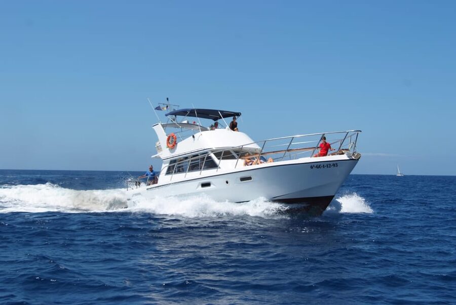 Tenerife: Whale tour and sea swim on a yacht for 22 people - Itinerary Breakdown: Where the Time Actually Goes