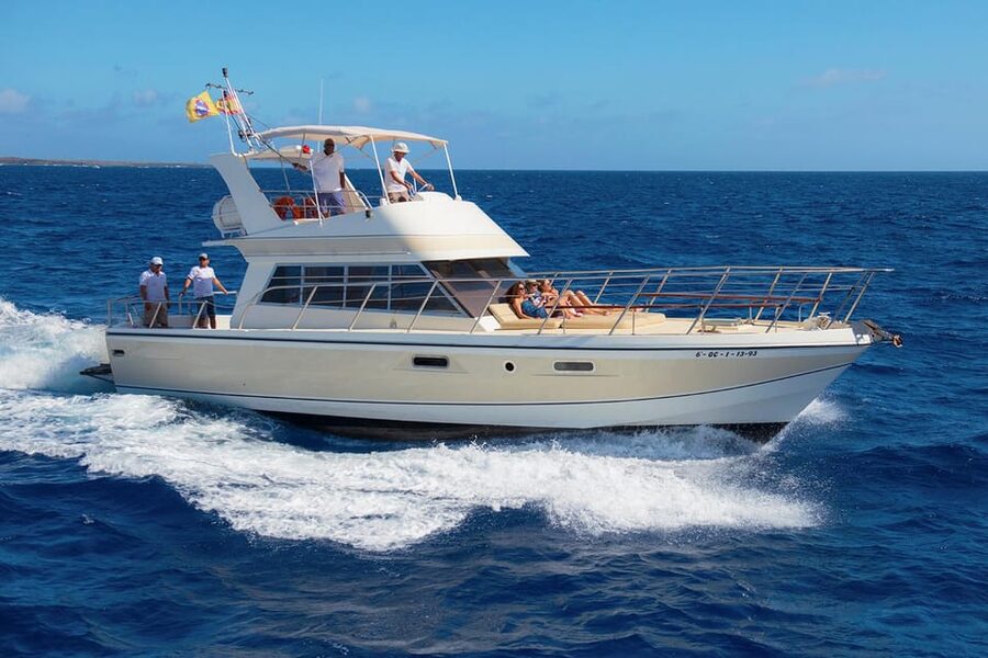 Tenerife: Whale tour and sea swim on a yacht for 22 people - The Neptune Advantage: Why This Boat Feels Made for Watching