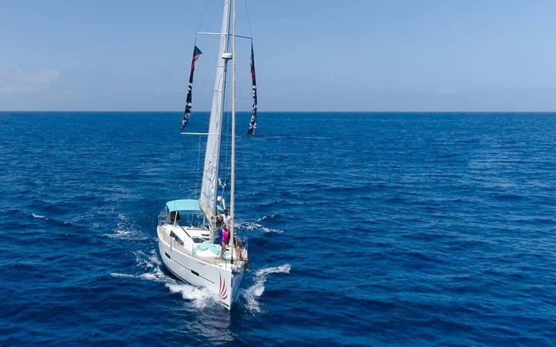 Tenerife Whale Watching and Snorkeling Yacht Trip - Key highlights you’ll care about