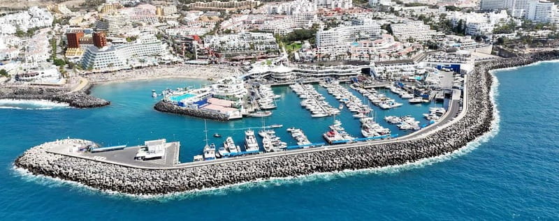 Tenerife Whale Watching and Snorkeling Yacht Trip - How the timing works (and why it’s not “all about the beach”)