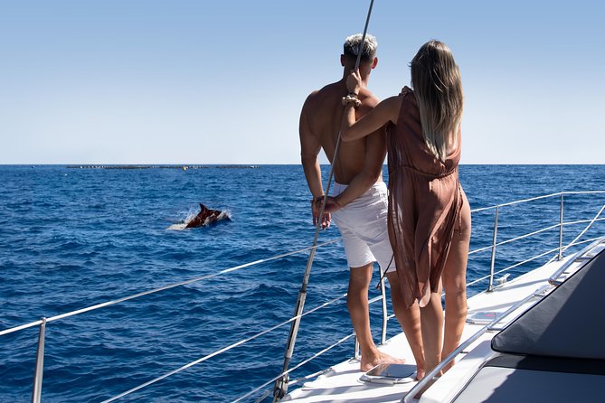 Tenerife Whale watching on private charter - Key things I’d zero in on before booking