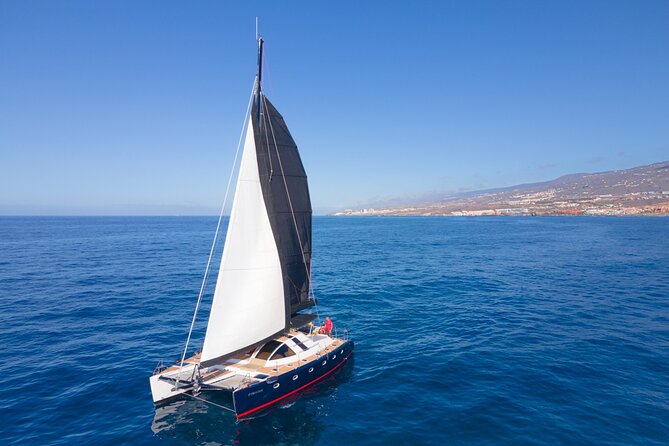 Tenerife Whale watching on private charter - Price: Does $1,055.39 Per Group Feel Like a Good Deal?